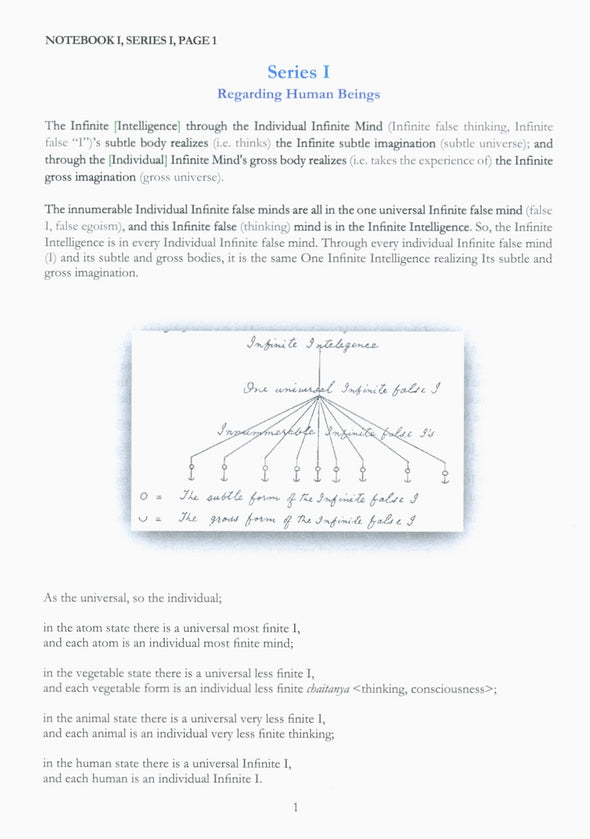 Intelligence Notebooks