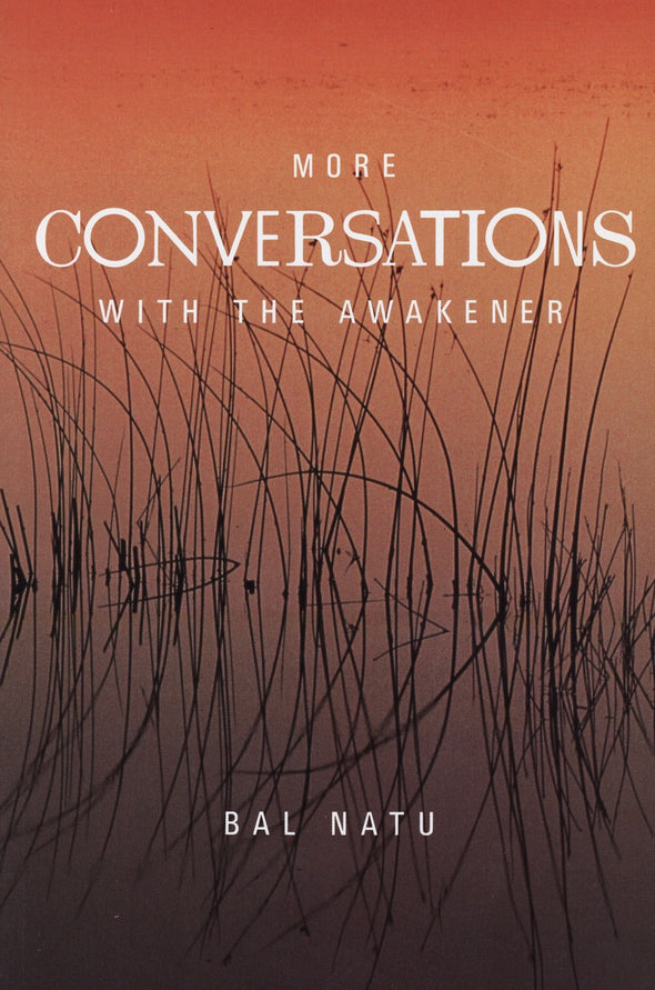 More Conversations With The Awakener