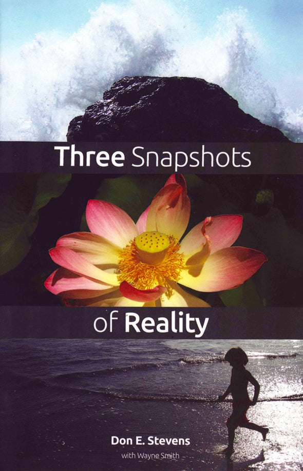 Three Snapshots of Reality, by Don Stevens